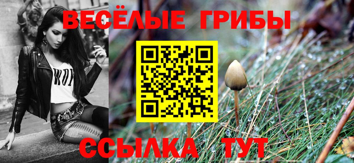 Псилоцибиновые грибы Psilocybine cubensis  Галлюциногенные грибы мухоморы  Семилуки  Вход с VPN 