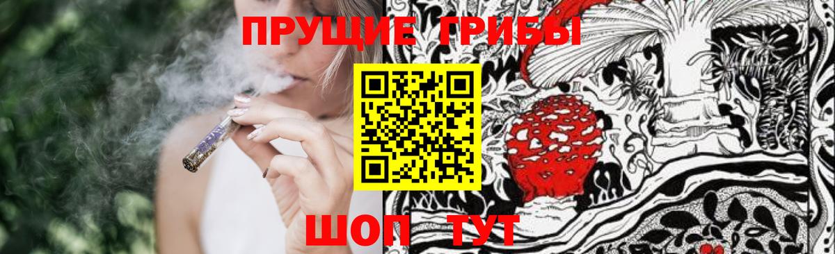 Галлюциногенные грибы прущие грибы Семилуки